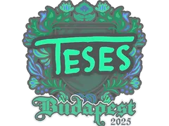 印花 | TeSeS | 2025年布达佩斯锦标赛