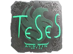Sticker | TeSeS (Foil) | Austin 2025