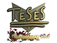 印花 | TeSeS (Gold) | Shanghai 2024