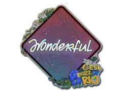 印花 | w0nderful（闪耀）| 2022年里约热内卢锦标赛