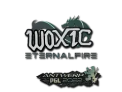 Aufkleber | woxic | Antwerpen 2022
