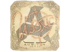 Sticker | woxic | Austin 2025