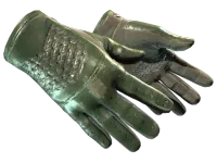 ★ Driver Gloves | Racing Green (Field-Tested)
