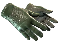 ★ Driver Gloves | Racing Green (Factory New)