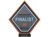 Finalist at DreamHack 2013