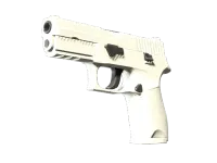 P250 | Whiteout (Factory New)