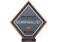 Semifinalist at DreamHack 2013