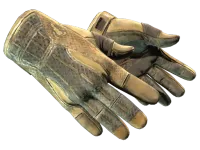 ★ Sport Gloves | Arid (Battle-Scarred)