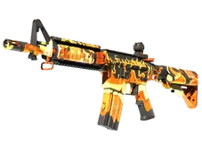 Skin's image