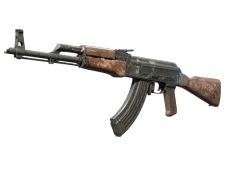 Skin's image