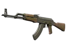 Skin's image