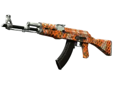 AK-47 | Safety Net