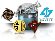 Skin's image