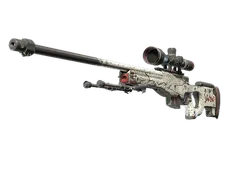 AWP | LongDog