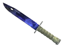 Skin's image