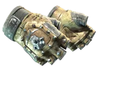 Skin's image