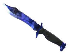 Bowie Knife | Doppler Phase 4