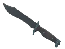 ★ Bowie Knife | Night (Factory New)