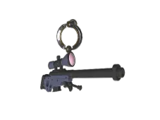 Skin's image