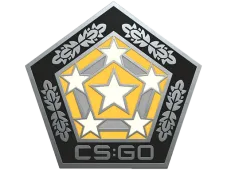 Skin's image