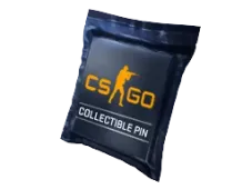 Skin's image
