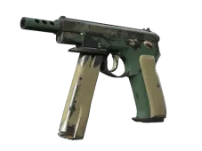 Skin's image