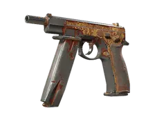 Skin's image
