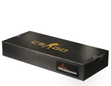 DreamHack 2013 Souvenir Package