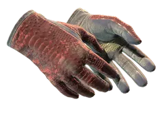 Driver Gloves | Dragon Fists