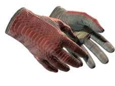 Skin's image