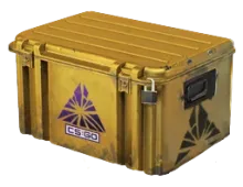 Skin's image