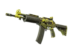 Skin's image