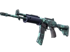 Skin's image