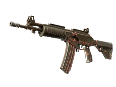 Skin's image