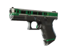 Skin's image