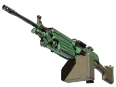 Skin's image