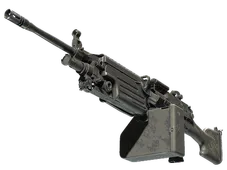Skin's image