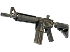 Skin's image