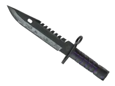 Skin's image