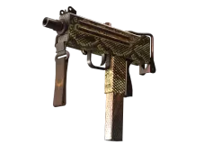 Skin's image