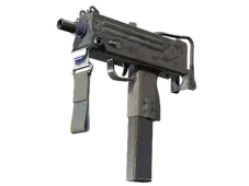 Skin's image