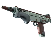 Skin's image