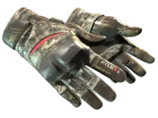 Moto Gloves | Boom!