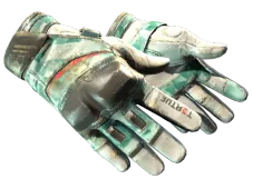 Skin's image