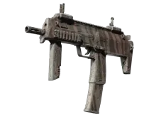 Skin's image