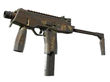 Skin's image