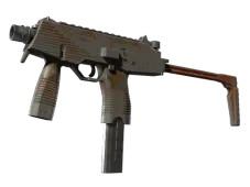 Skin's image
