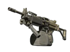Skin's image