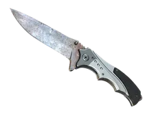 Skin's image