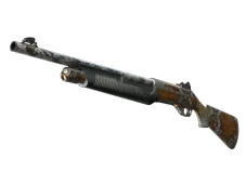 Skin's image